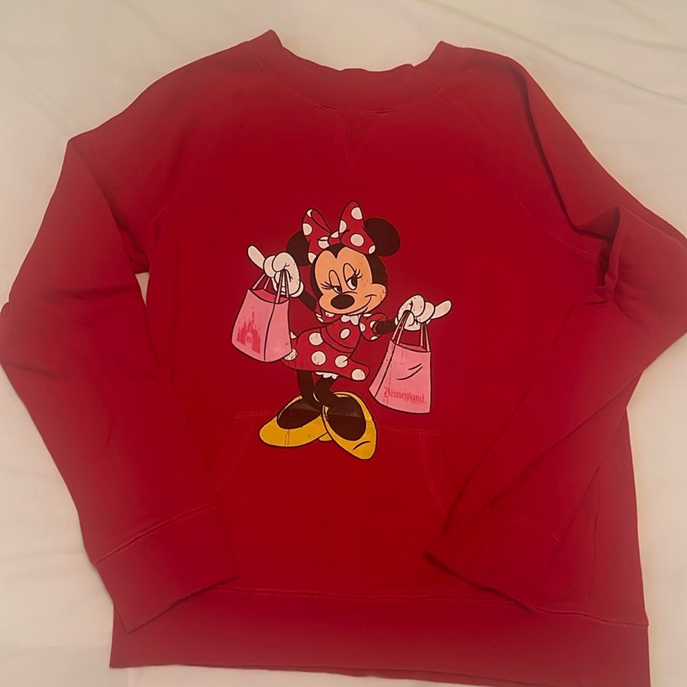 Disneyland park sweat shirt